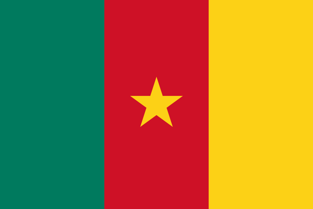 African Flag Bonnets