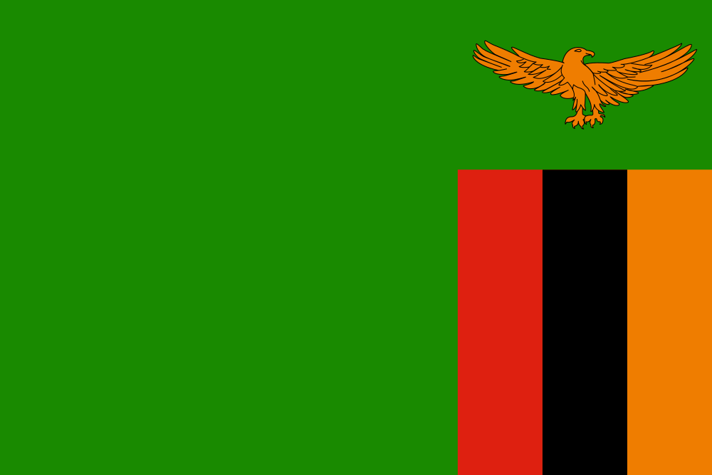 African Flag Bonnets